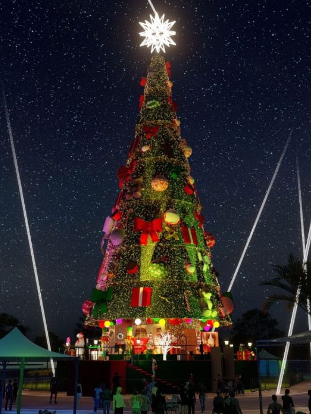 Árvore de Natal em SP e Caravana iluminada da Coca Cola